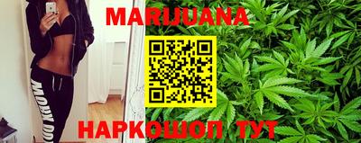 тгк Новозыбков