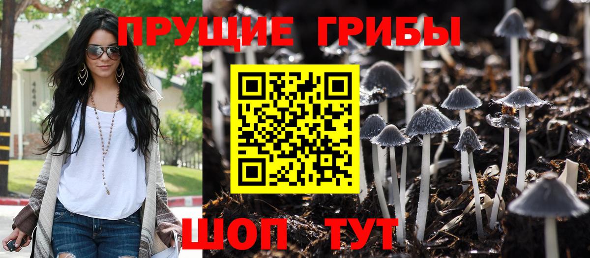 Ржев  Галлюциногенные грибы Cubensis  Вход с VPN 