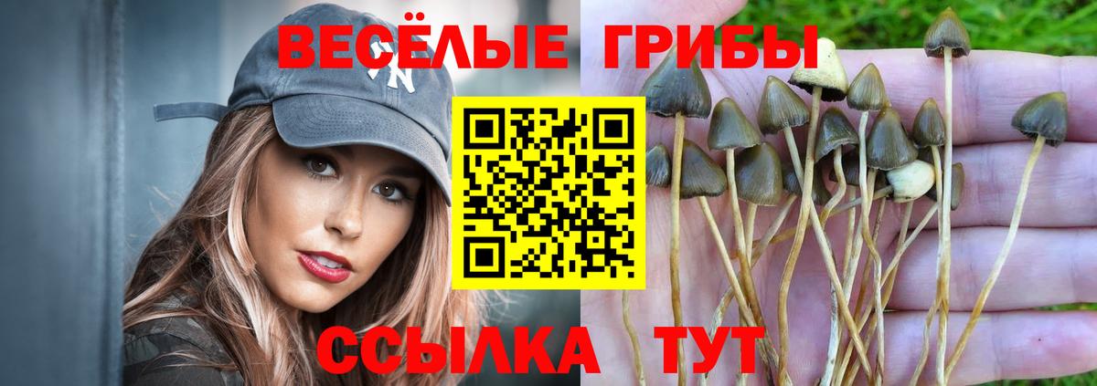 КОКАИН Ржев
